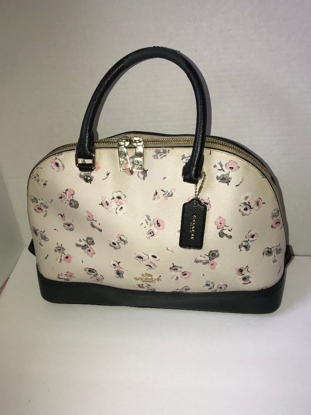 Coach Sierra Watercolor Wildflower Floral Dome Satchel Shoulder Bag F37430
